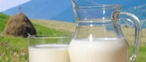 乳業(yè)透視：分化陣痛中轉(zhuǎn)型，價(jià)值升維里突圍