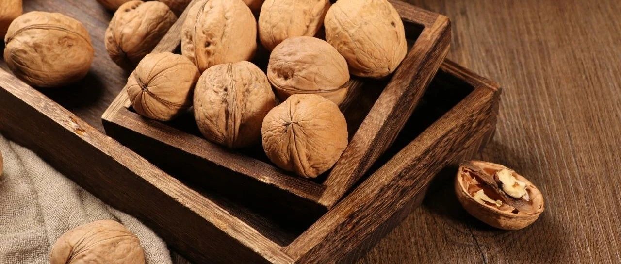 SIAL中餐廳今日正式開賽！感受傳統(tǒng)魅力，品味中餐經(jīng)典！