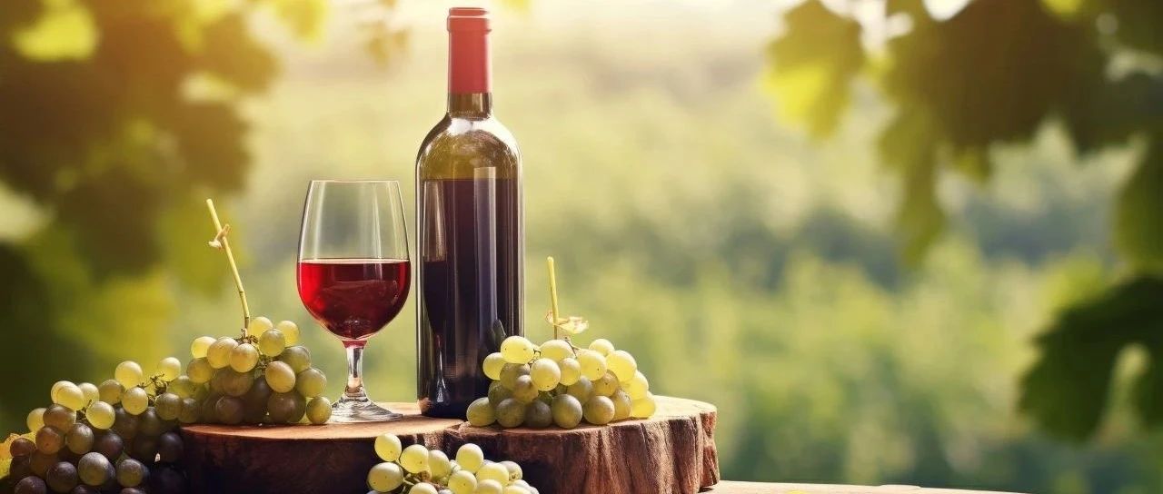 酒水休食生鮮一應(yīng)俱全 9月SIAL 西雅展秋冬熱銷爆品等你來采購